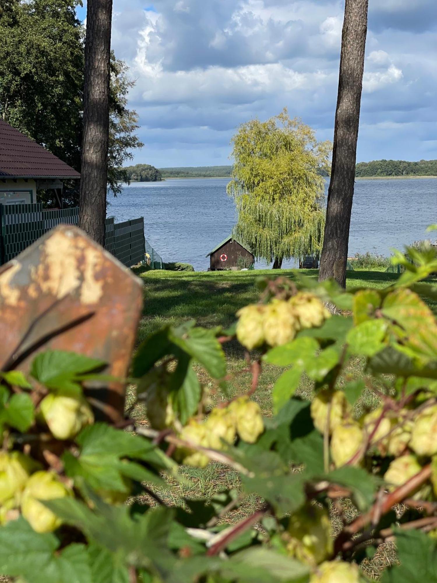 Urlaub Am Plaetlinsee - Haus Odin Wustrow  Exterior foto